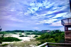 view-1